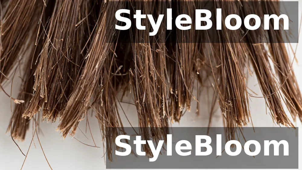 Illustration: a close view of the dry, frayed ends of long hair in bright light