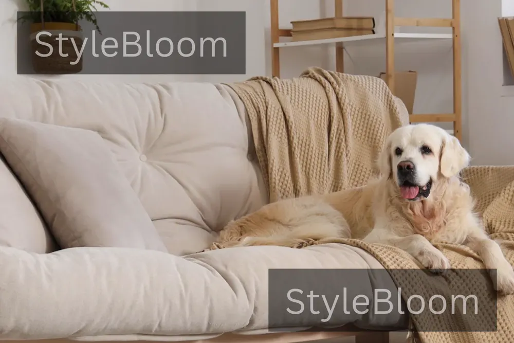 A light-coloured dog lying on a covered sofa with a quilted beige throw